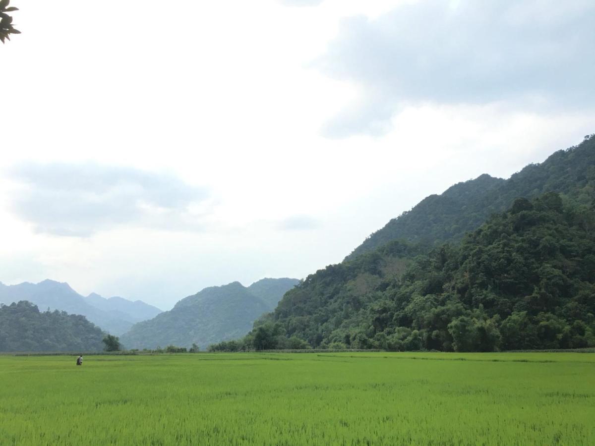 Hoang Quan Homestay Ba Be Kültér fotó